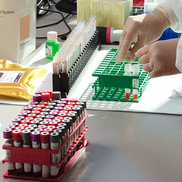 Lab testing equipment with hands