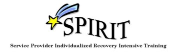 Logo that reads, SPIRIT / Service Provider Individualized Recovery Intensive Training